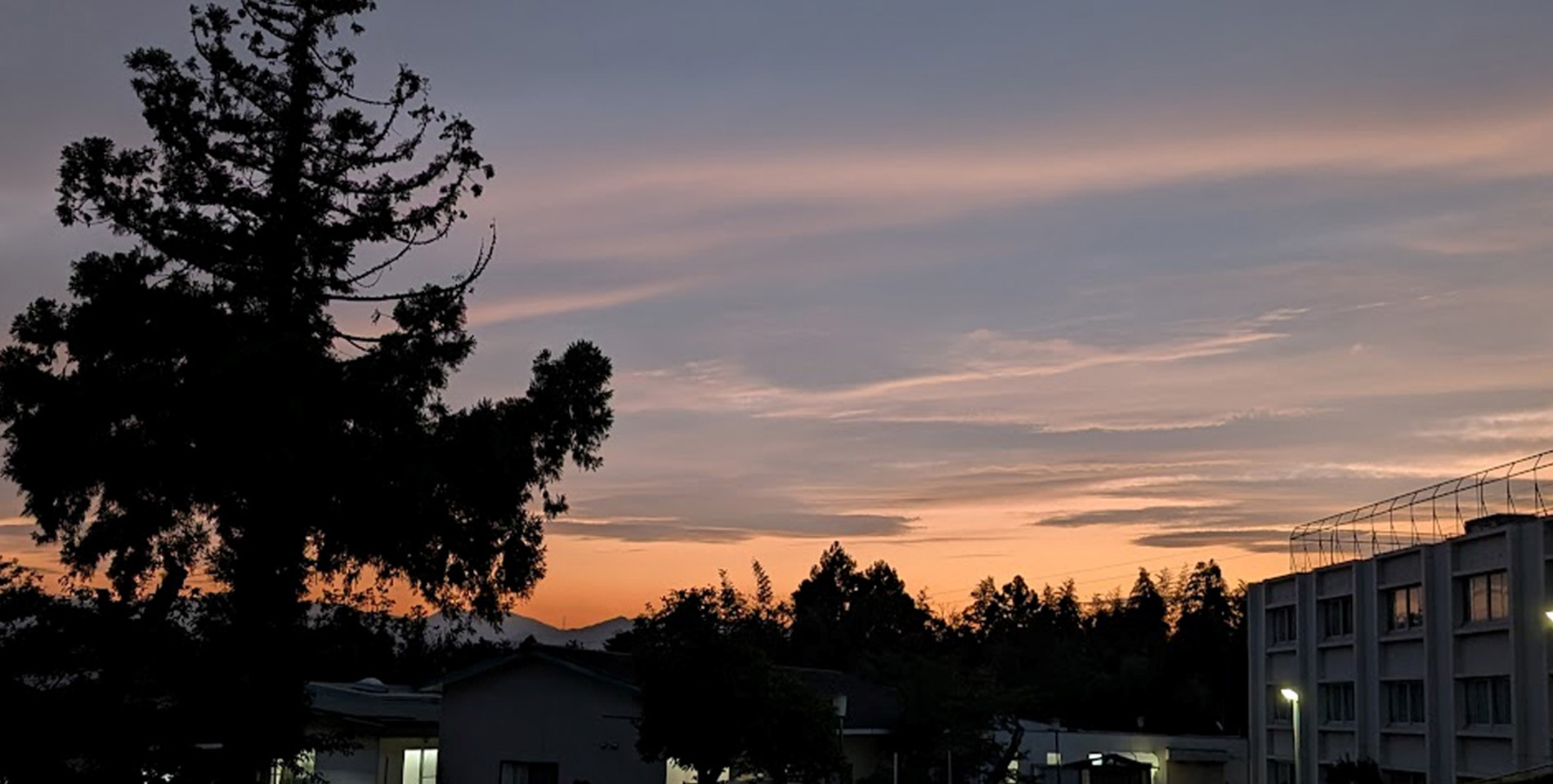 希望の丘 八王子病院 人工透析 精神科